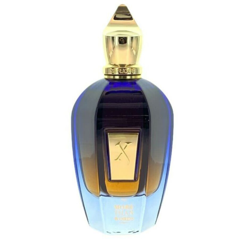 Xerjoff Unisex More Than Words Join The Club EDP Spray 3.4 oz Fragrances 8033488155131