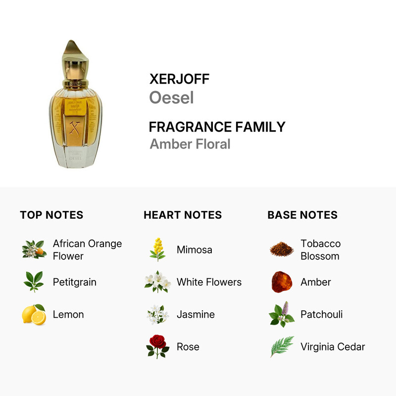 Xerjoff Unisex Shooting Stars Oesel EDP Spray 1.7 oz Fragrances 8033488151959