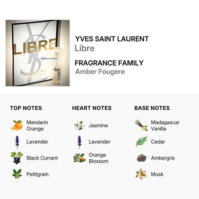 Yves Saint Laurent Ladies Libre EDP Spray 0.04 oz Fragrances