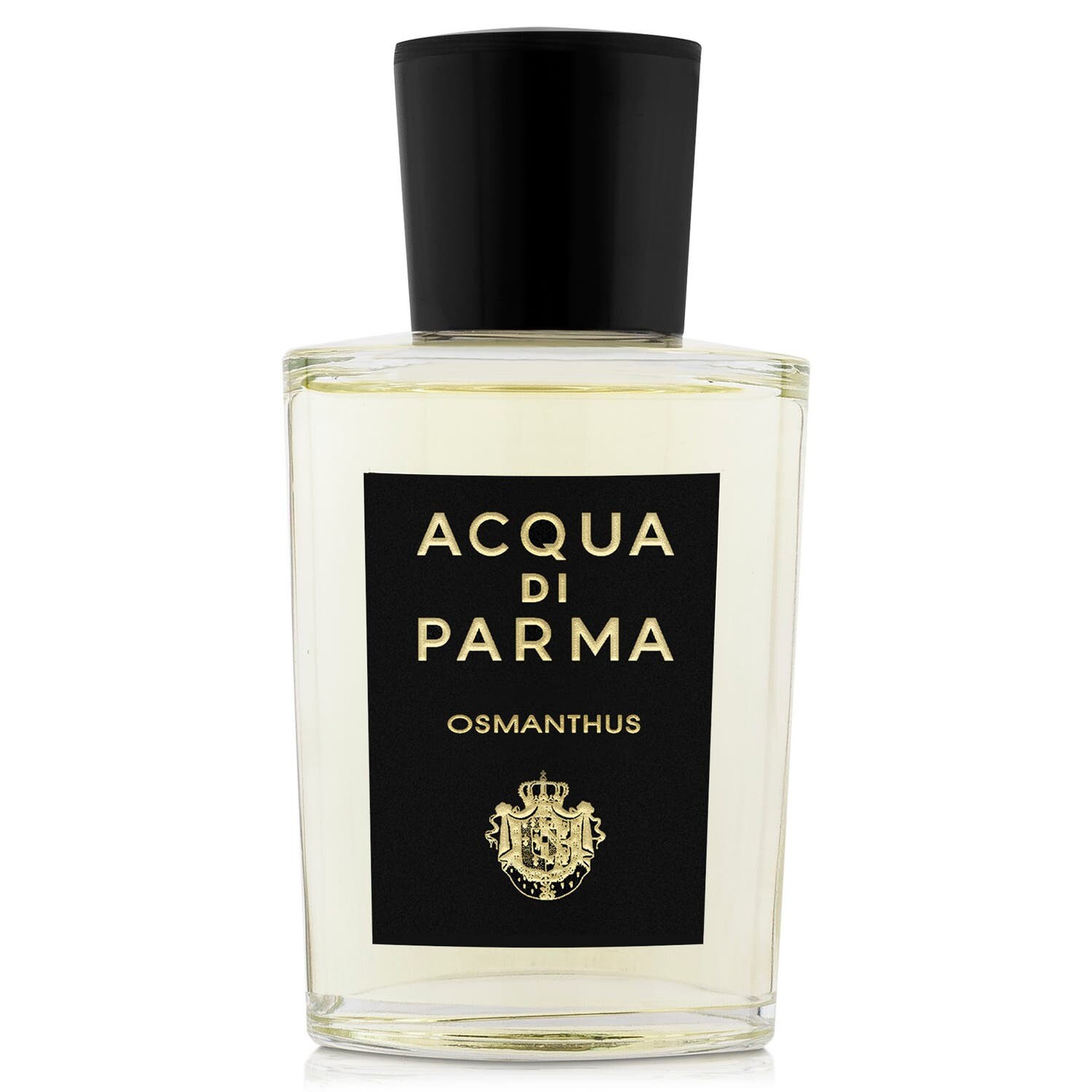 Magnolia Infinita Fragrances