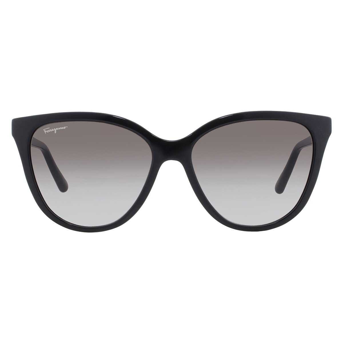Ferragamo Brown Oval Ladies Sunglasses SF1080S 211 53 886895582711