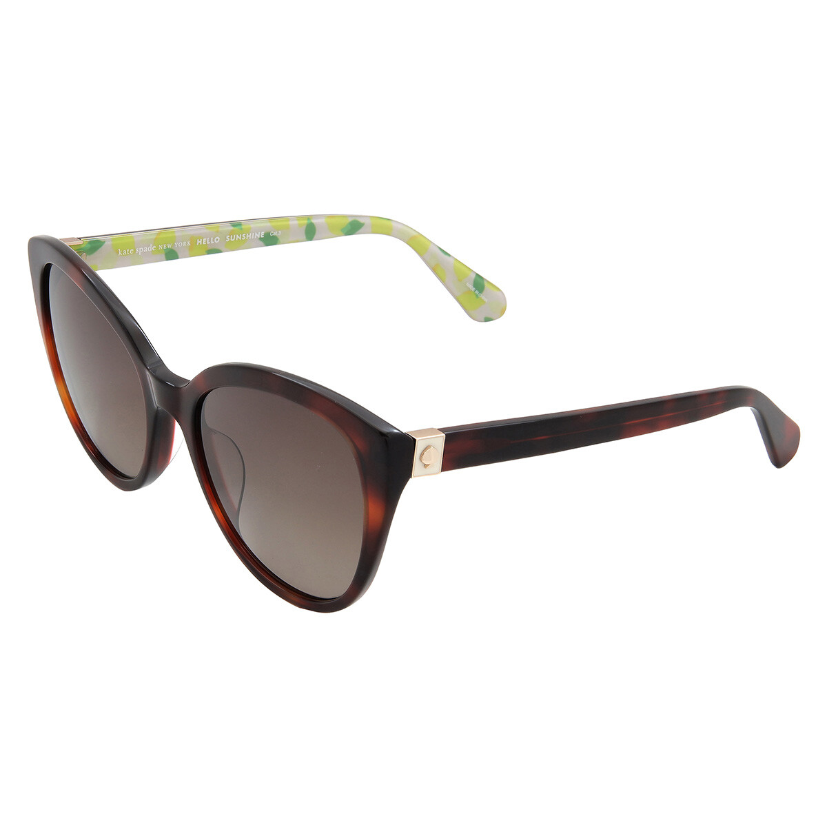 Kate Spade Women\'s Paola/G/S Square Sunglasses Kate Spade Dark Grey Gradient Square Ladies Sunglasses PAOLA  main image 3
