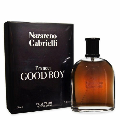 Men's I'm Not A Good Boy