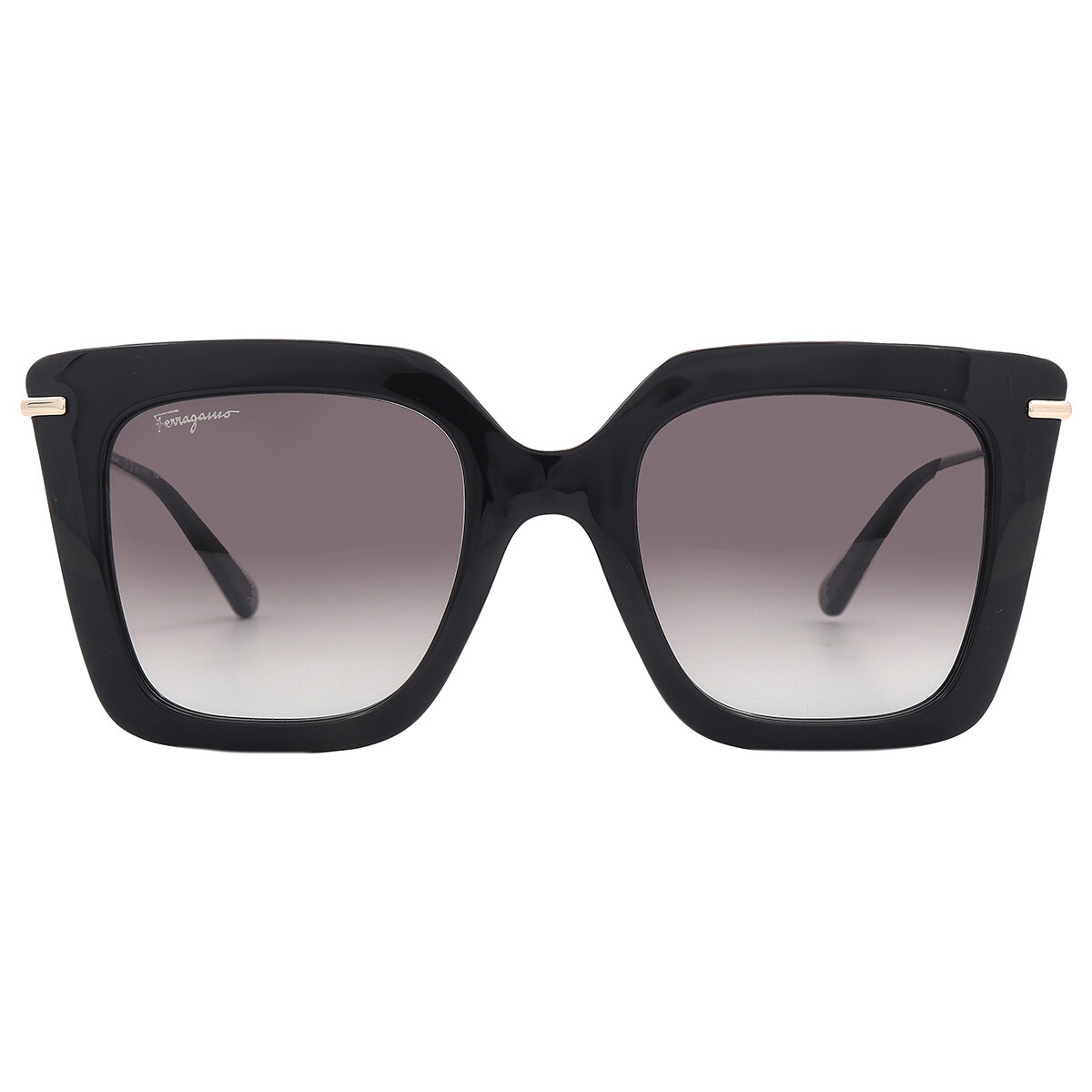 Ferragamo Brown Oval Ladies Sunglasses SF1080S 211 53 886895582711