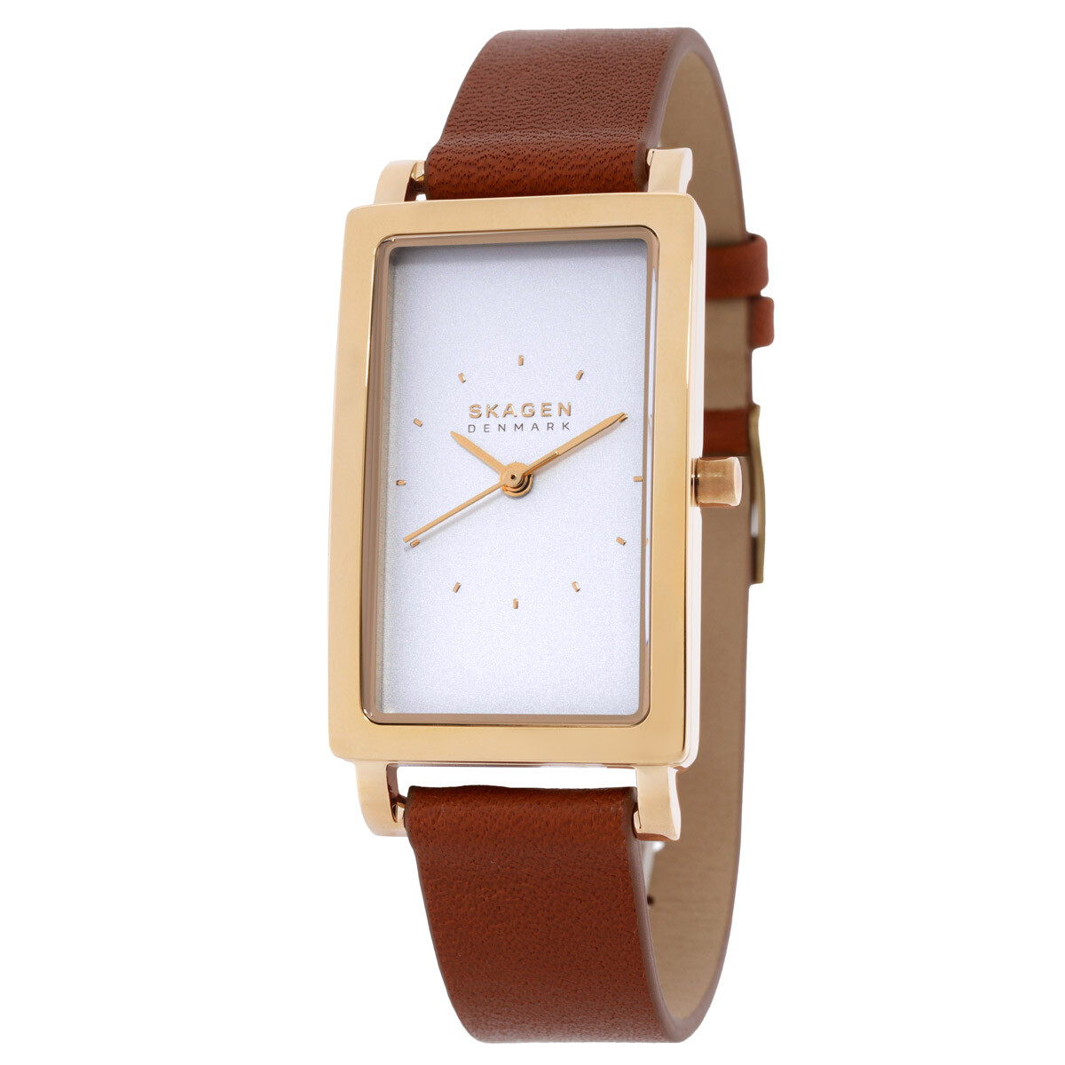 Skagen Classic Silver Dial Stainless Steel Mesh Ladies Watch