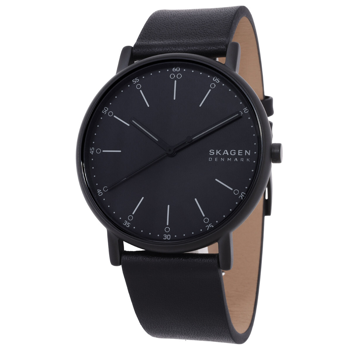 Skagen Ditte Grey Dial Grey Leather Ladies Watch SKW2216