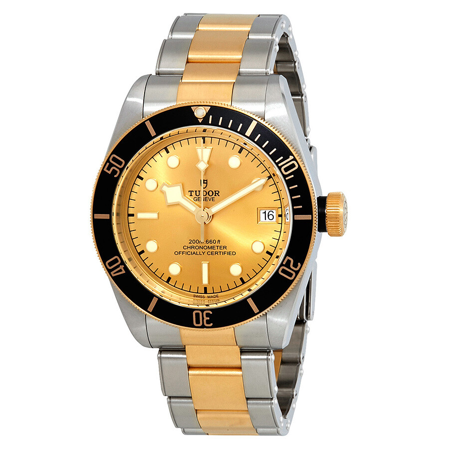 Tudor Black Bay Automatic 41 mm Champagne Dial Men's Watch M79733N-0004