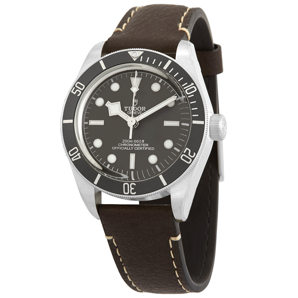 Tudor Black Bay 58 M79010SG-0001