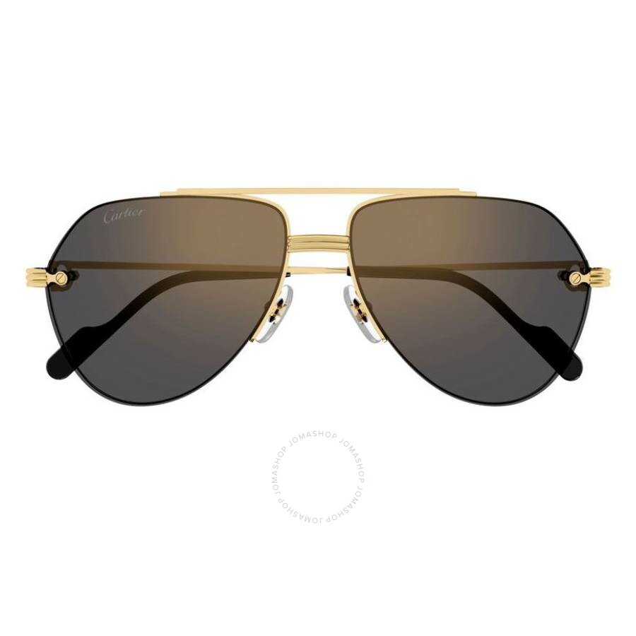 Cartier Black Rectangular Men's Sunglasses CT0076SA 002 56
