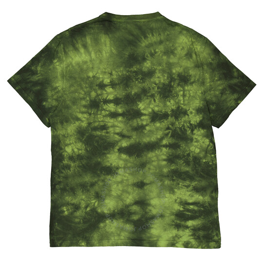 Tシャツ・カットソー alexander mcqueen FW24 JERSEY T-SHIRT (808915 QXABL3012) Alexander Mcqueen Men's Green Washed Dye T-Shirt, Size