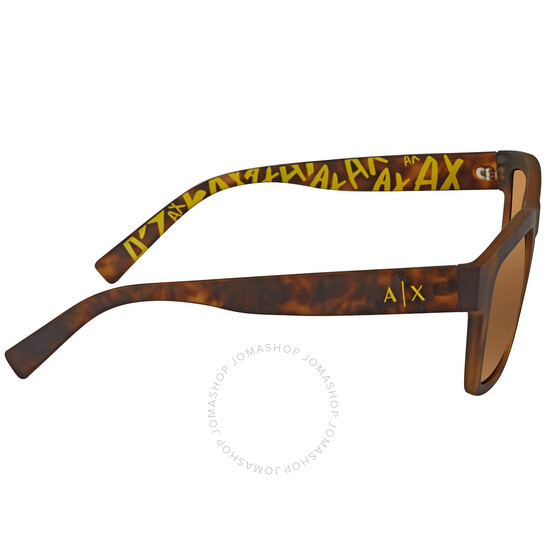 Giorgio Armani AR8042F サングラス ブラウン GIORGIO ARMANI AR 8042 5293/13 BROWN HORN GRADIENT AUTHENTIC