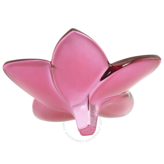 Baccarat Crystal Bloom Flower - Peony 2813013 736415974840