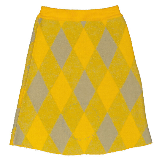 Burberry Argyle Knee Length Wool Skirt, Size Medium 8077691