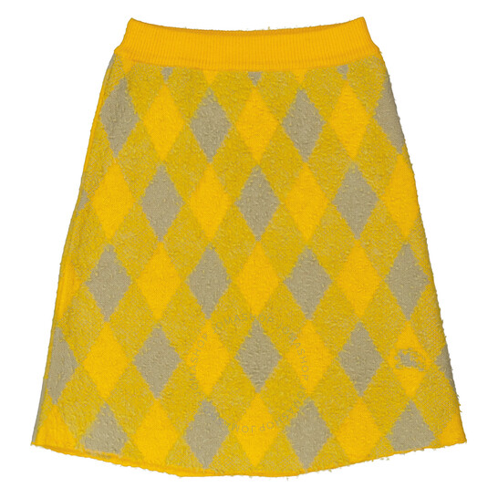 Burberry Argyle Knee Length Wool Skirt, Size Medium 8077691