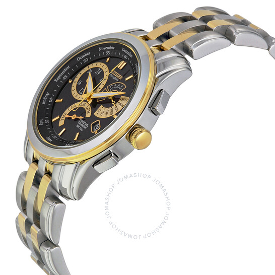 Citizen Calibre 8700 EcoDrive Perpetual Calendar Men's Watch BL8004