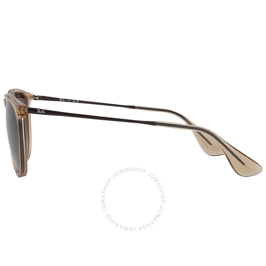 Ray-Ban Erika Color Mix Brown Gradient Dark Brown Cat Eye