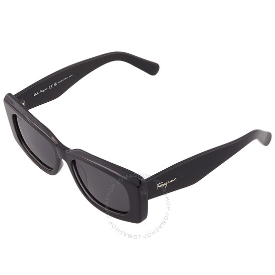 SALVATORE FERRAGAMO 長方形フレムサンクラス SF1079S 022 Salvatore Ferragamo SF1079S (022) SF1079S5418022 Sunglasses