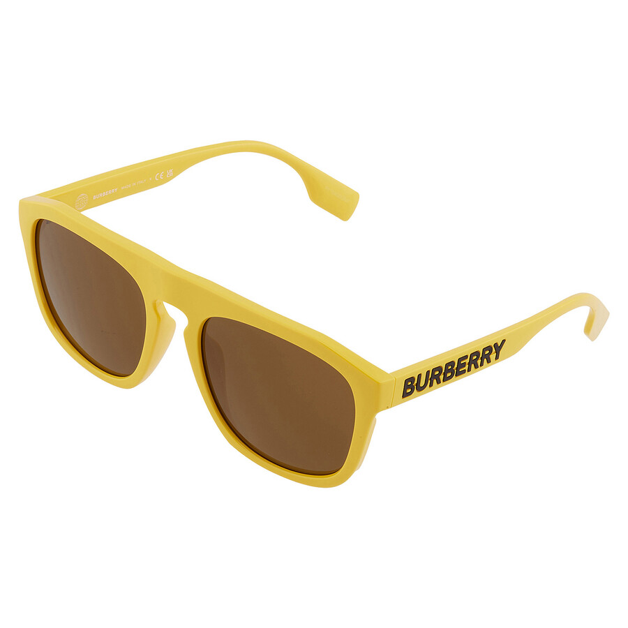 Burberry Wren Brown Browline Men's Sunglasses BE4396U 407073 57