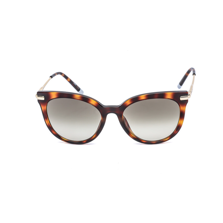 calvin klein tortoise shell glasses