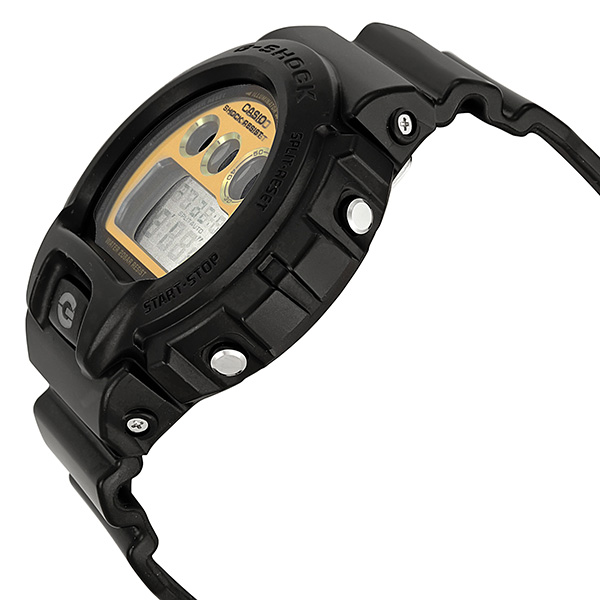 dw6900pl