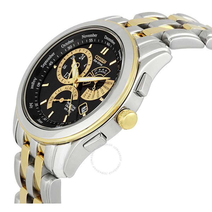 Citizen EcoDrive Calibre 8700 Perpetual Calendar Men's Watch BL8004