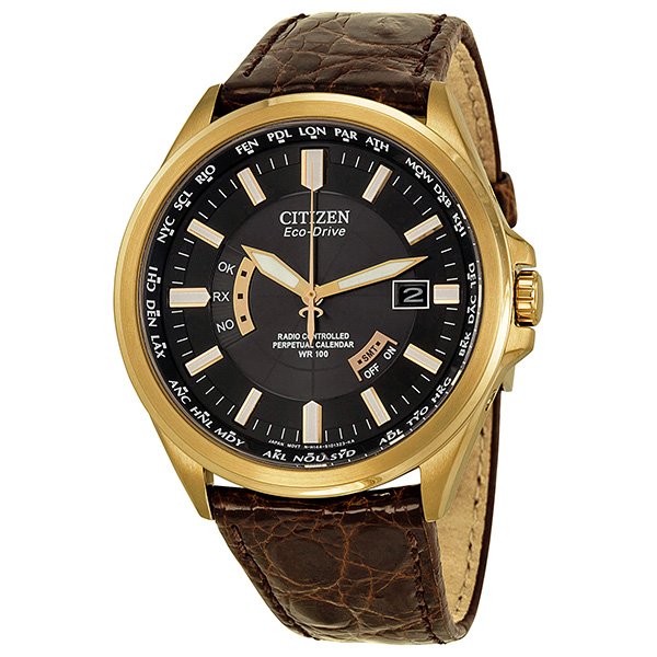 Citizen World Perpetual Atomic Rose Gold Ion-plated Watch CB0012-12E -  Watches, Eco-Drive - Jomashop