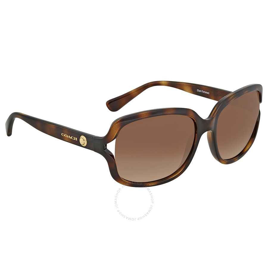 coach sunglasses hc8169