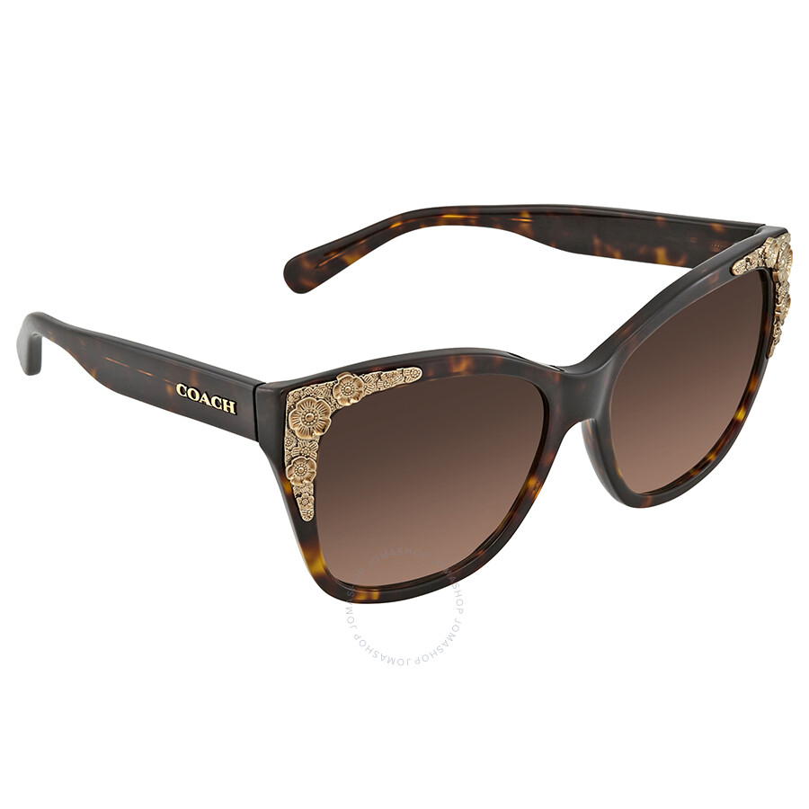 coach brown sunglasses