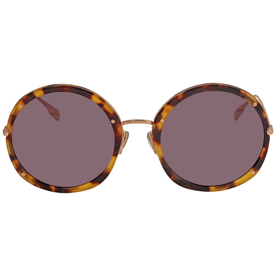 Dior Hypnotic Brown Gradient Oval Ladies Sunglasses DIORHYPNOTIC1 02IK