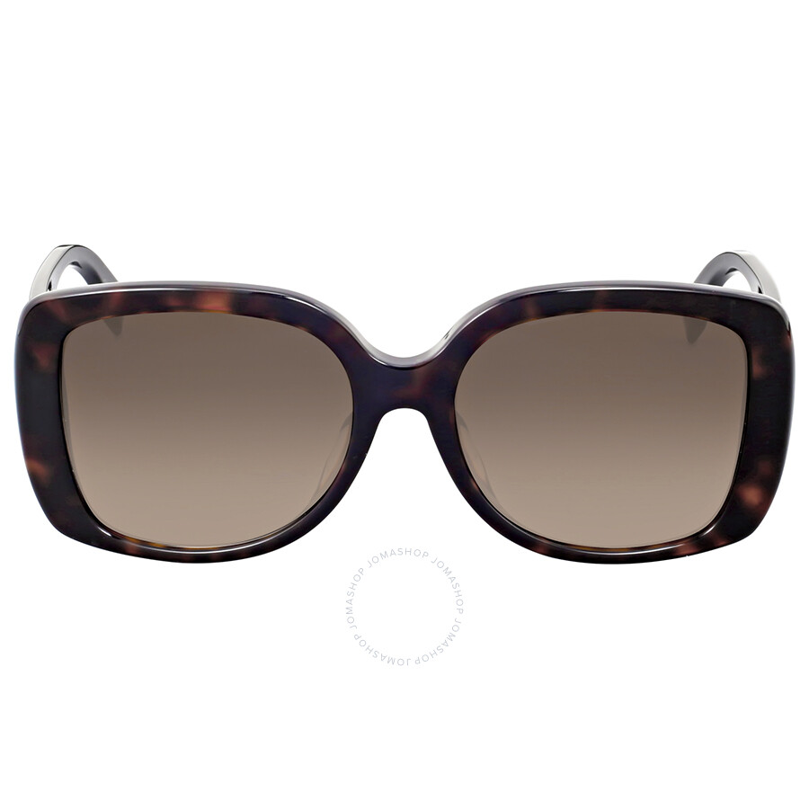 fendi havana ff sunglasses