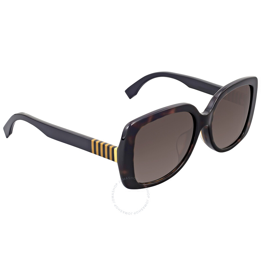 fendi havana ff sunglasses
