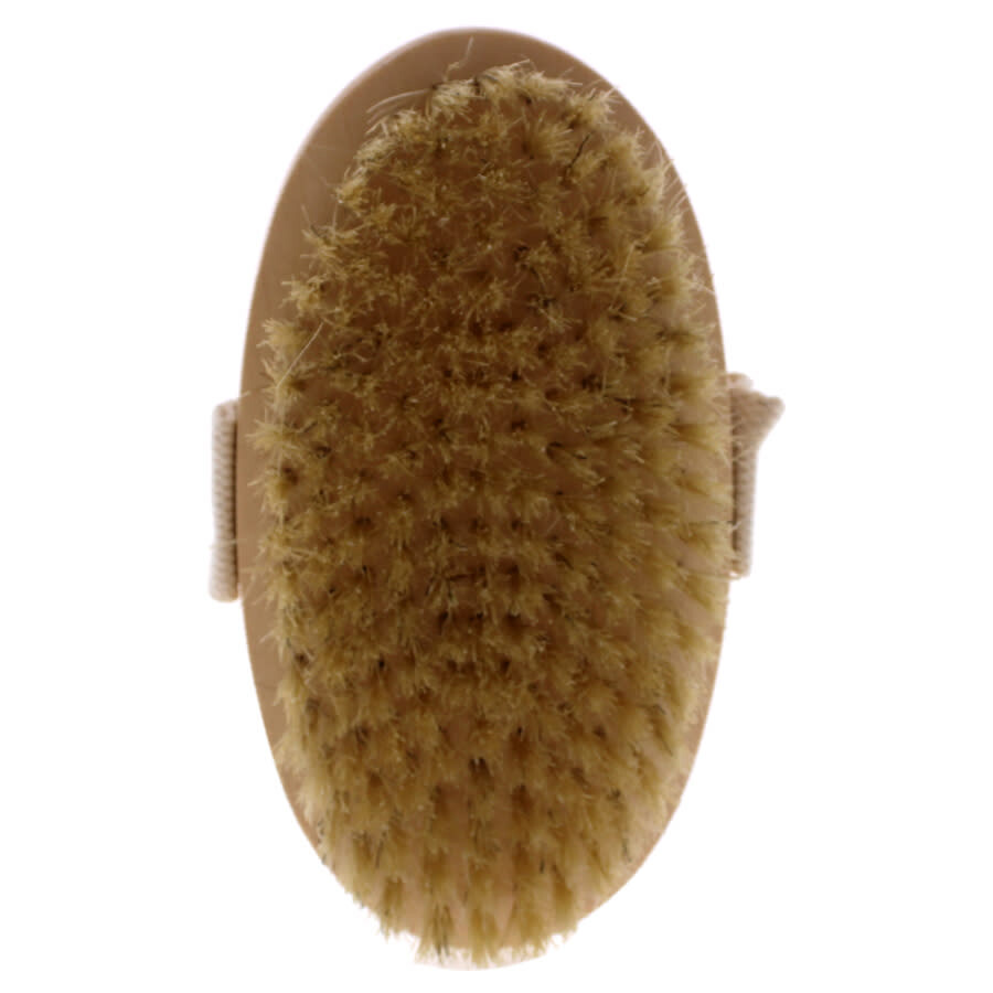 Fantasea Natural Bristle Body Brush by FantaSea for Unisex 1 Pc Brush