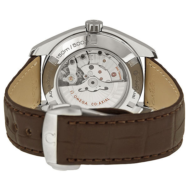 Omega Seamaster Aqua Terra 231.13.43.22.02.002