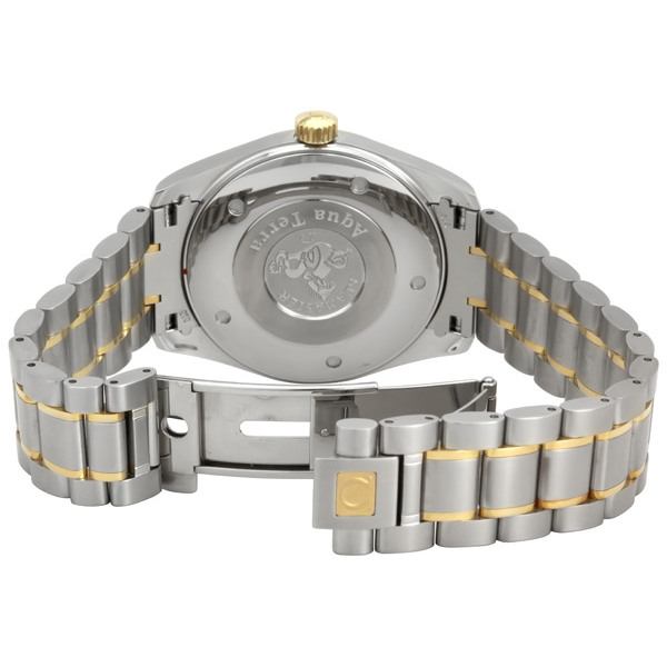 Omega Seamaster Aqua Terra Men's Watch 