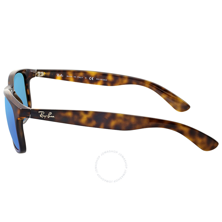 rb4202 polarized