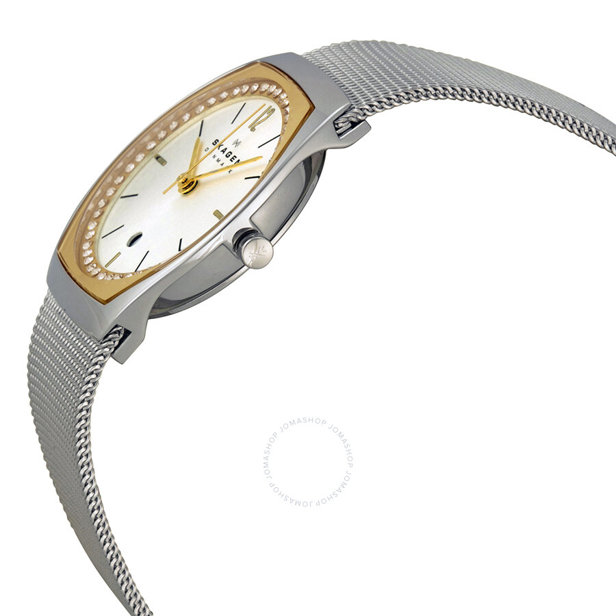 Skagen Asta Silver and Gold Dial Ladies Watch SKW2050 768680185973 ...