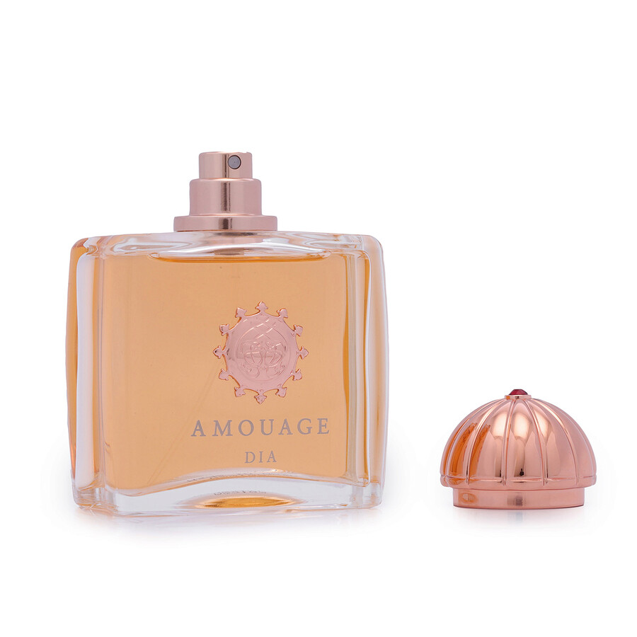 Amouage Dia /  Edp Spray 3.3 oz (100 Ml) (w) In Purple