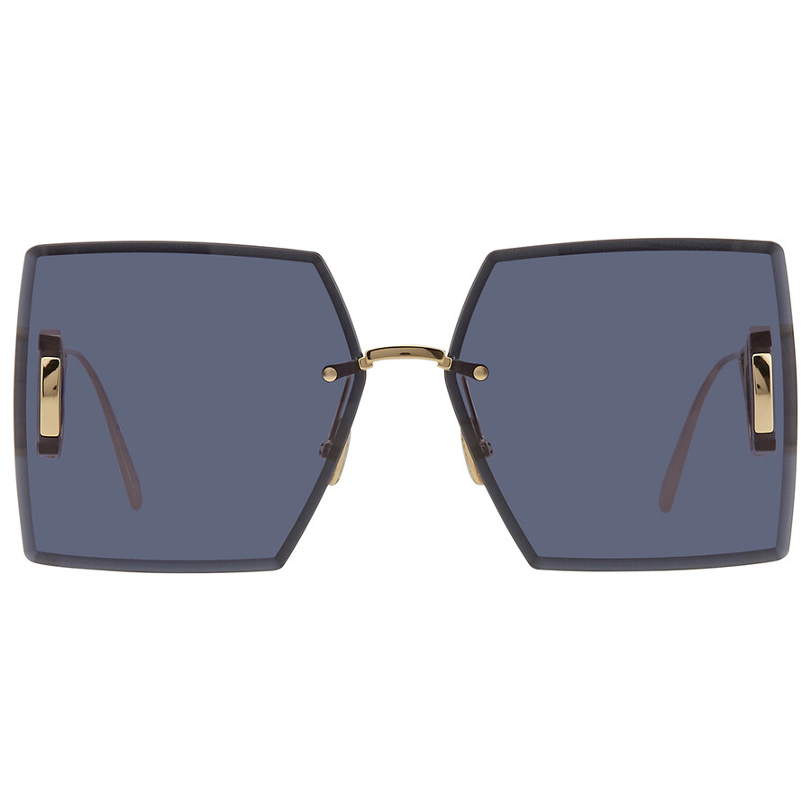Dior 30MONTAIGNE S7U Blue Square Ladies Sunglasses CD40101U