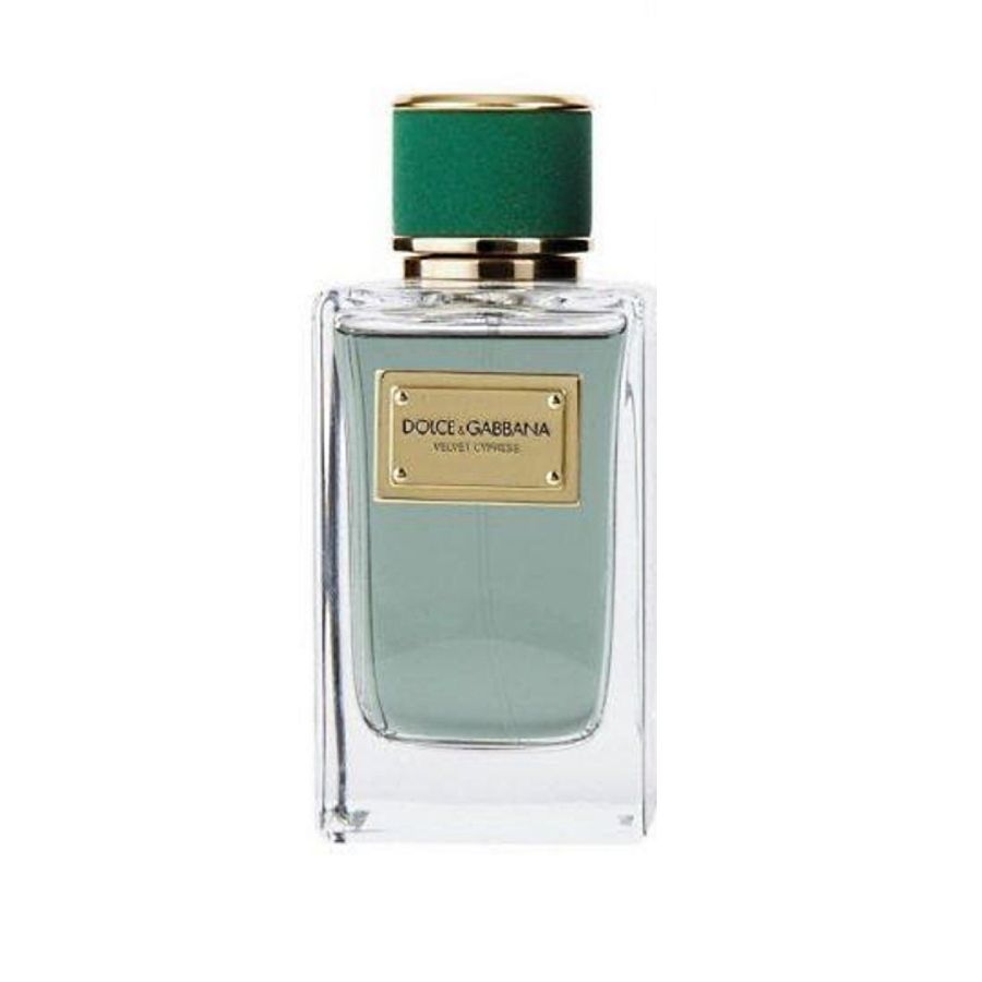 Dolce & Gabbana ベルベットサイプレス Dolce & Gabbana Unisex Velvet Cypress EDP 5.0 oz Fragrances