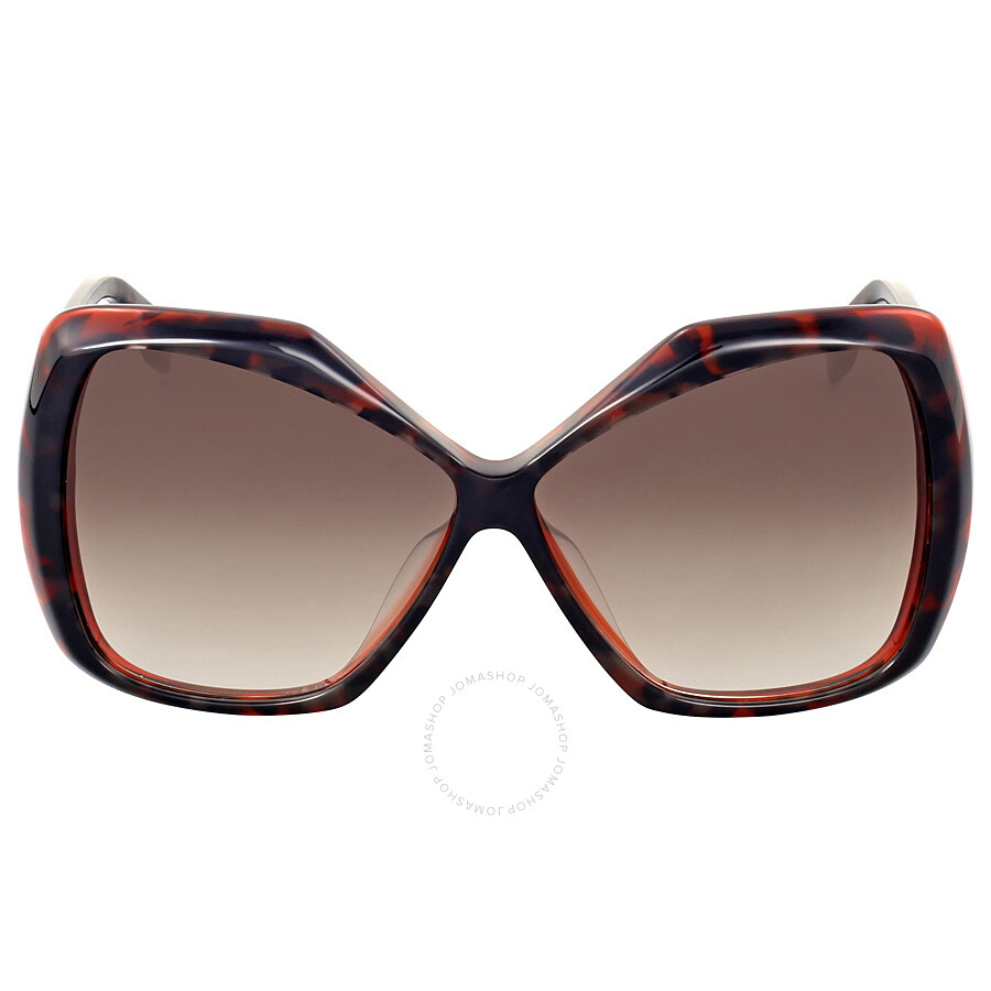 fendi havana ff sunglasses