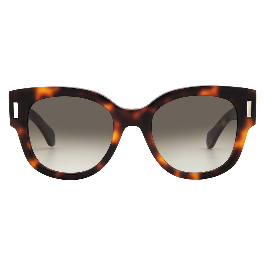 Ferragamo Brown Gradient Oval Ladies Sunglasses Sf2007s 240 51
