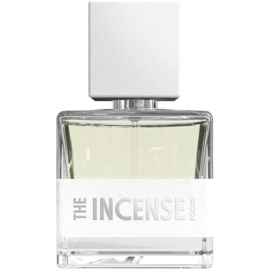 Fragrance One Men's The Incense Focus EDP Spray 1.7 oz Fragrances