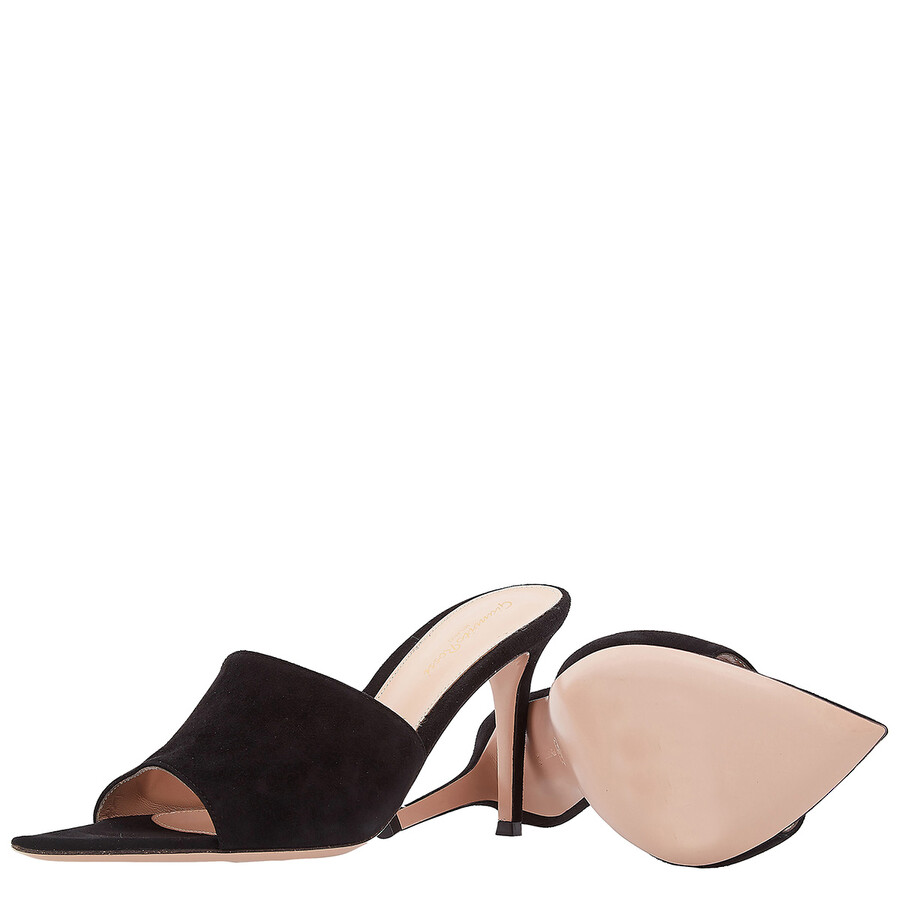 Gianvito Rossi Black Camoscio Suede Mules In Black