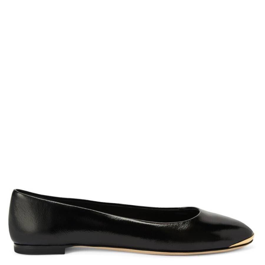 Giuseppe Zanotti Amur 2.0 Ballet Flats In Black