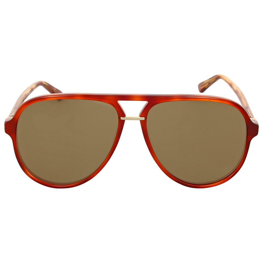 gucci havana aviator sunglasses