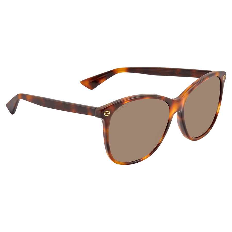 Gucci GG0024 Brown Oval Ladies Sunglasses GG0024S 002 58  display picture 2