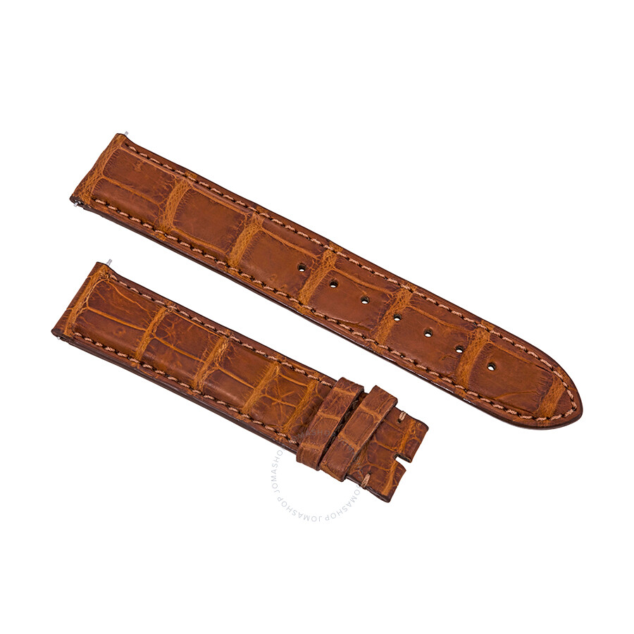 Shop Hadley Roma Matte Honey Alligator Leather Strap In Brown