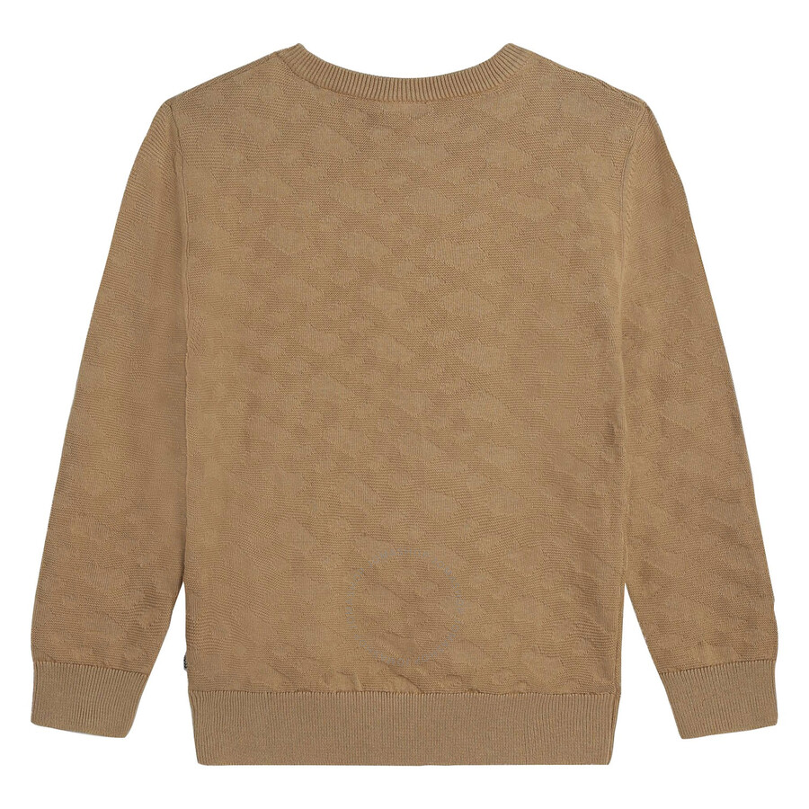 Hugo Boss Boss Boys Beige Cotton Knit Sweater In Beige