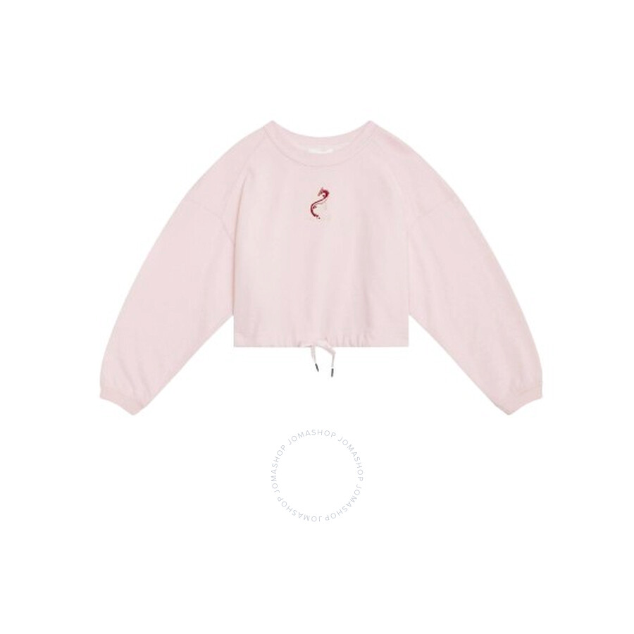 Isabel Marant Ladies Pink Margyo Cotton Sweatshirt In Pink