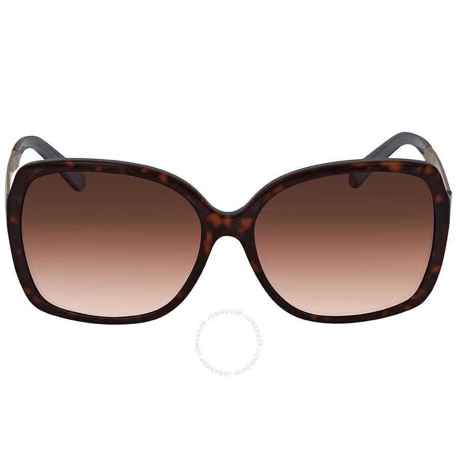 Kate Spade Darilynn Warm Brown Gradient Round Ladies Sunglasses